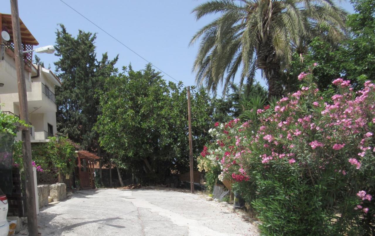 Simple Studio, Chloraka Apartment Paphos Exterior foto